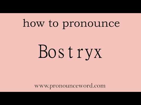 Bostryx: How to pronounce Bostryx in english (correct!).Start with B. Learn from me.