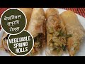 Vegetable SPRING Rolls - YouTube