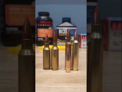 Hornady's HUGE New Varmint Bullet! - Why Did They Make This?! #hunting