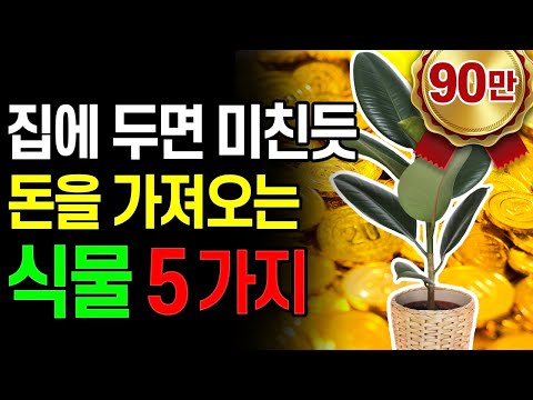 [유튜브] 집에 두면 미친 듯 돈을 가져옵니다