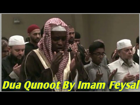 Emotional Dua Qunoot by Imam Faysal | Amazing Quran Reactation | Imam Faysal