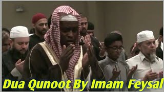 Download lagu Emotional Dua Qunoot by Imam Faysal | Amazing Quran Reactation | Imam Faysal mp3 Download lagu Emotional Dua Qunoot by Imam Faysal | Amazing Quran Reactation | Imam Faysal mp3