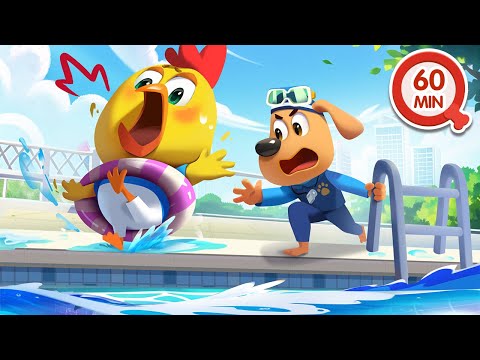 Seguridad en la Piscina 🏊 1HORA de Dibujos Animados 🔍Sheriff Labrador en Español