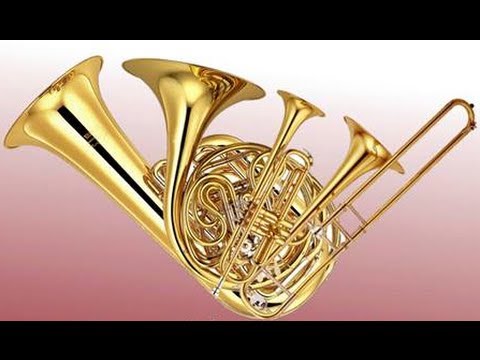 Brass Band del Conservatorio "G. Tartini" di Trieste.