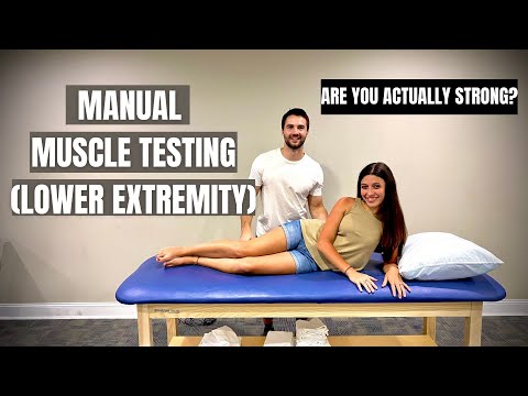 Manual Muscle Testing Lower Extremity (For Beginners)