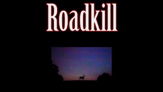 Roadkill