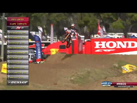 2019 Mini O's - SX MAIN - 250 C Limited