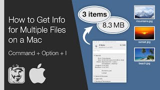 How to Get Info for Multiple Files on a Mac (Command + Option + I)