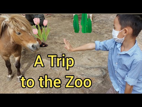 Uma viagem ao Zoológico #ducvinh2015 #zoo #trip
