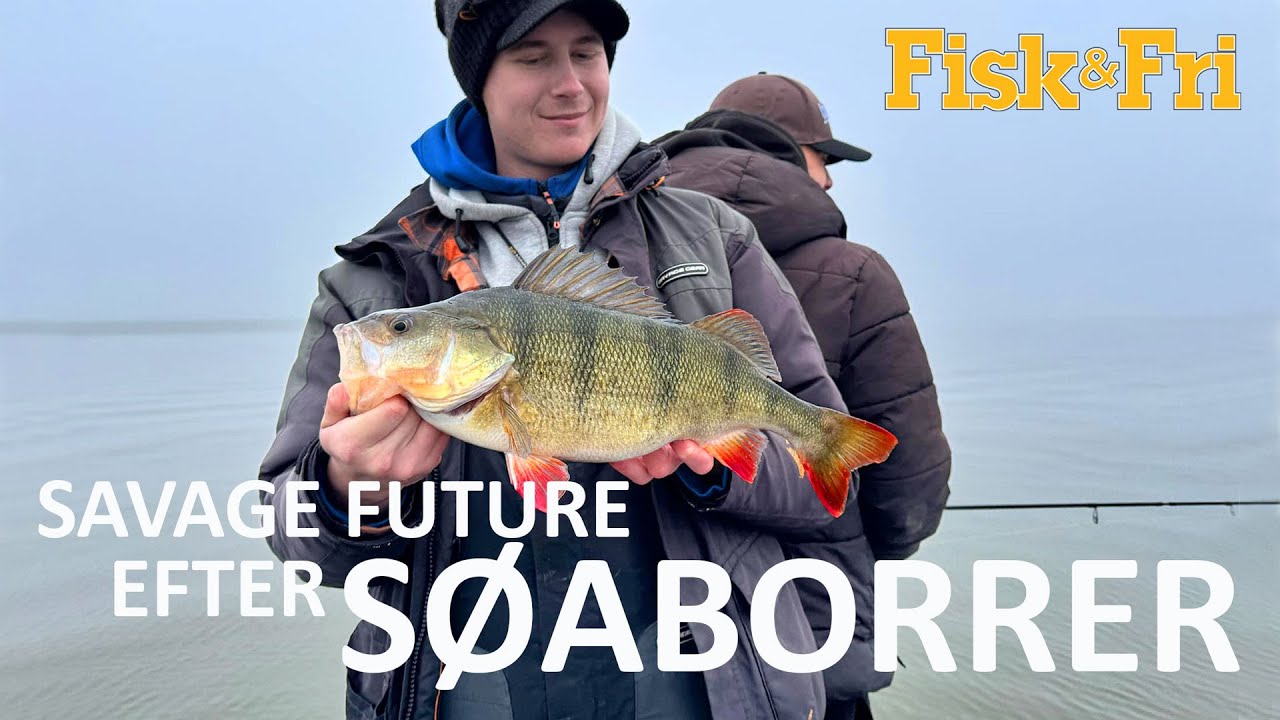 NY VIDEO: SØFISKERI EFTER ABORRER MED SAVAGE FUTURE