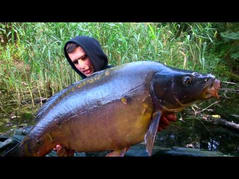 Kolejny dzikus Top Secret Baits