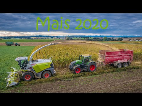 Lohnunternehmen Sedlmeyr - Maishäckseln 2020