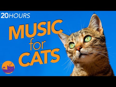 20 HOURS of Calming Music for Cats - EXTRA LONG Sleep Mix