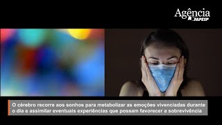 Sonhos podem revelar como está o processo de adaptação durante a pandemia