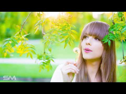 Alex Deeper ft. M.SIID - I Don't Care (DJ Phellix & Sooren remix)