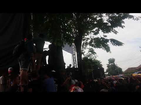 New pallapa live jombang 2018