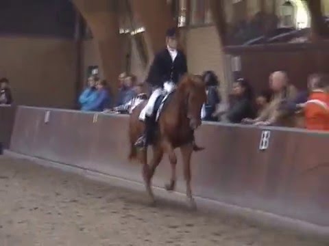 Zoëlaine op Prinsenstaddressuur 2007