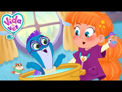 È importante ricordare la bottiglia d'acqua | Vida la Vet | Cartoni animati per bambini