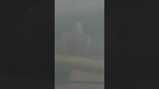 Download lagu Perkutut lokal Termahal#shorts #perkutut #perkututlokal mp3