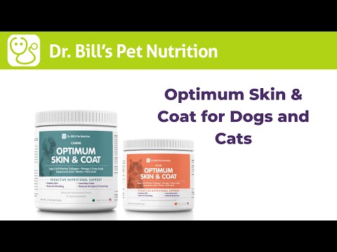 Optimum Skin & Coat | Supplement for Dogs & Cats | Dr. Bill's Pet Nutrition | The Vet Is In