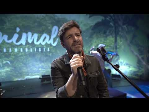 Funambulista - Sigo (Versión Acústica Live)