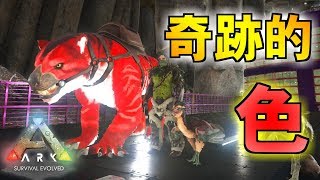 Ark ラグナロク ティラコレオ تنزيل الموسيقى Mp3 مجانا