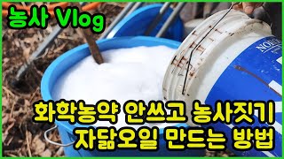 자닮오일 만들기 /  화학농약 안쓰고 농사짓는 방법
