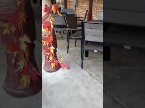 #gangstalking perp walk 10/25/2022 Pt. 1