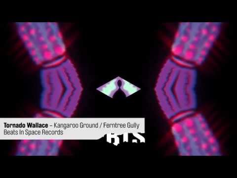 Tornado Wallace - Kangaroo Ground