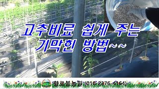 고추비료 주는 기막힌 방법~ 편안하게 비료주기