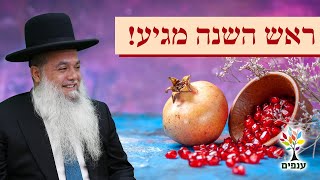 הרב יגאל כהן | ראש השנה מגיע!🟠שידור חי מקריית גת