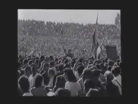 Wochenschau Juli 1949 / Deutscher Meister VfR Mannheim