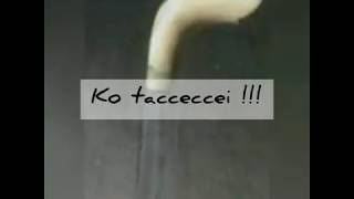 Download lagu Story wa bugis /status wa mp3