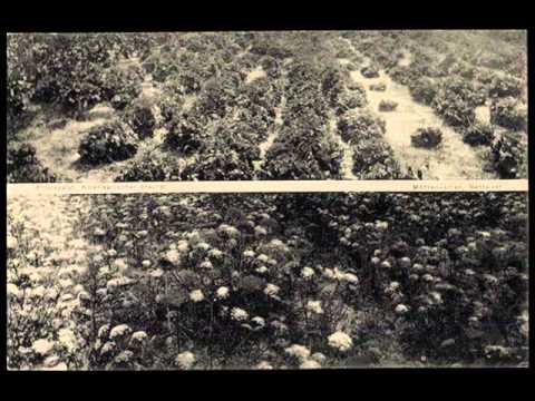 Alte Ansichtskarten - 04808 Wurzen - akpool.de