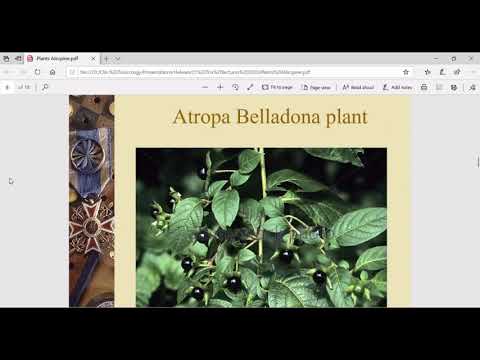 Toxicology: Plant Poisons (Alkaloids) 23/4/2020