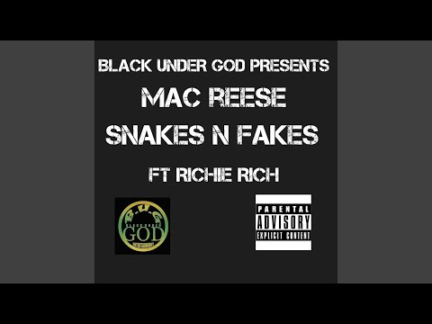 Snakes and Fakes (feat. Richie Rich)