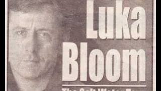 Luka Bloom - Salt Water