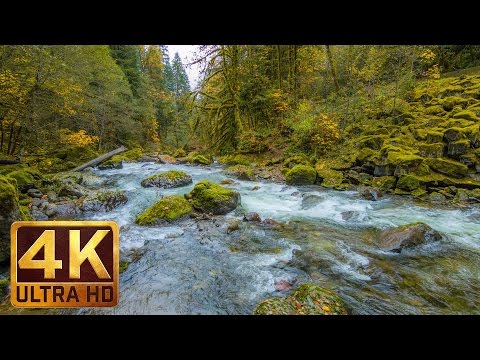 Beautiful Nature Video in 4K (Ultra HD) - Autumn River Sounds - 5 Hours Long