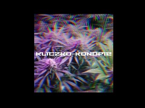 Kliczko-Konopie