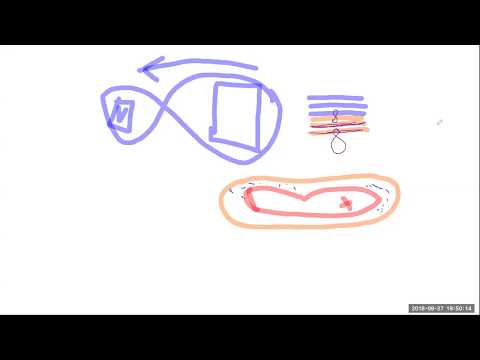 2018 09 27 PM Public Teachings in German - Öffentliche Schulungen in Deutsch