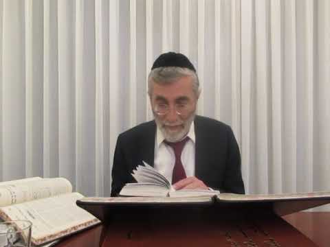 הרב יהושע ביבי - תשפ"ו - פסח - שיעור מס'' 023 - שעה''כ דף פג' רע''א בכוונת ורחץ ולהלכה