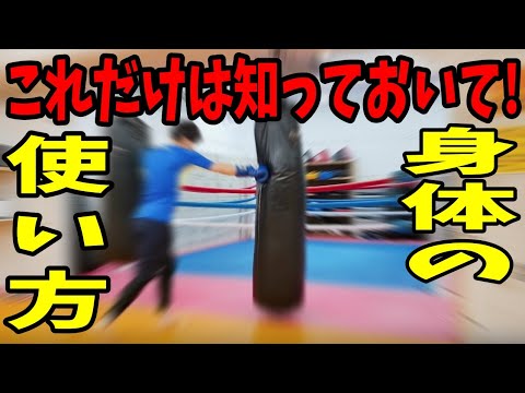 【格闘技初心者・キックボクシング初心者 必見!】ストレートとミドルキックのこれだけは知っておいて欲しい!身体の使い方!