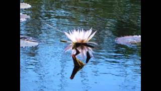 Here I am, Lord by Collin Raye