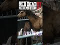 آموزش گرفتن اسب طلایی #rdr2 #reddeadredemption2story  #arturmorgan