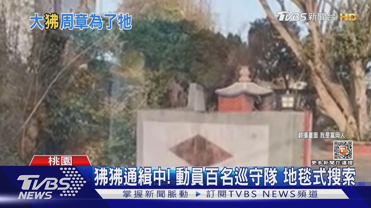 狒狒通緝中!動員百名巡守隊 地毯式搜索