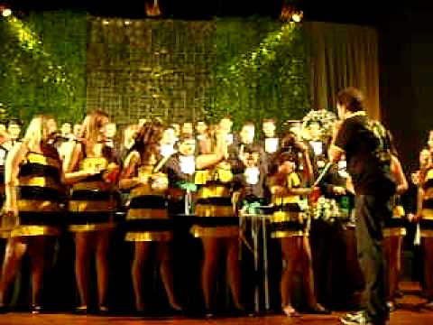 Apresentação Embolia2