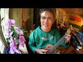 CIRCLE (Chuck Brodsky) Ukulele Cover