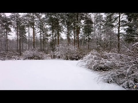Winter scenery / snowfall + sound of  fireplace  on background 3 HOURS
