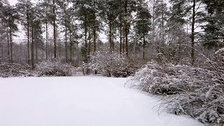 Winter scenery / snowfall + sound of  fireplace  on background 3 HOURS