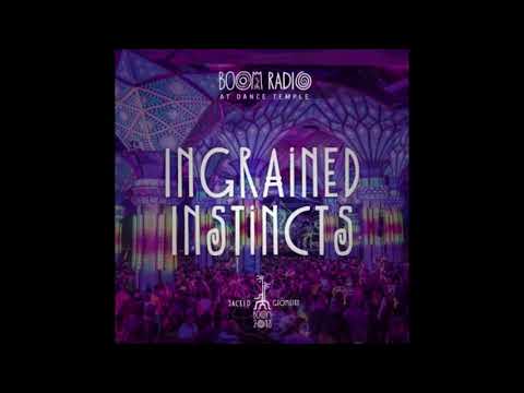 INGRAINED INSTINCTS - Live Set@Boom Festival 2018 Dance Temple 30 [Psychedelic Trance]